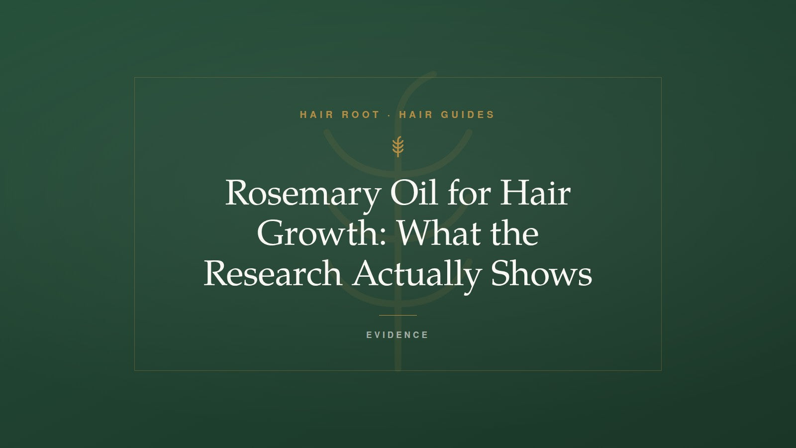 Hair Root Hair Guides title card — Rosemary Oil for Hair Growth: What the Research Actually Shows — with a gold rosemary sprig motif on deep green