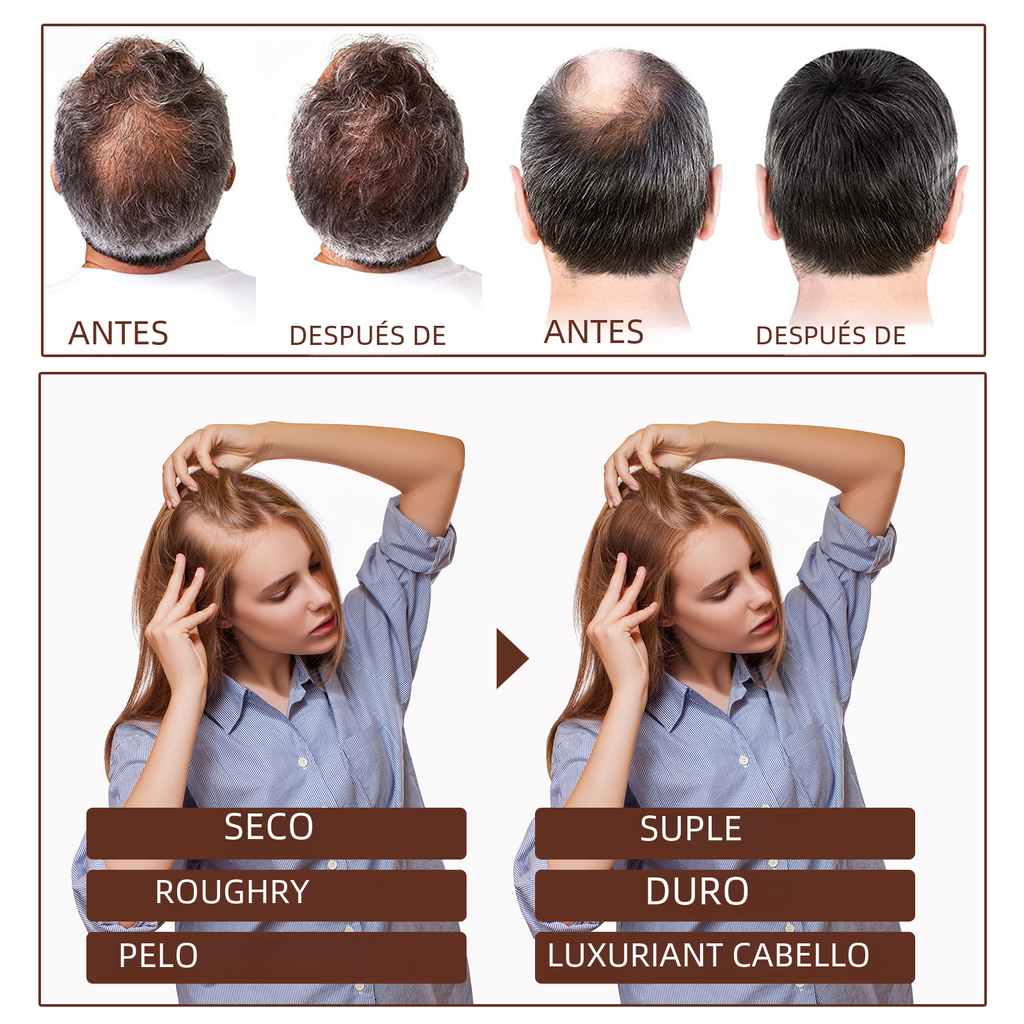 https://static.hzpdex.com/53c958ba-ca15-4e6e-a844-1a55758d14fe.png
