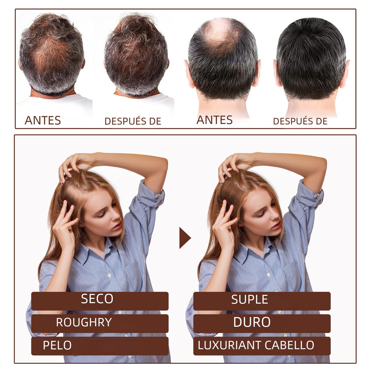 https://static.hzpdex.com/53c958ba-ca15-4e6e-a844-1a55758d14fe.png