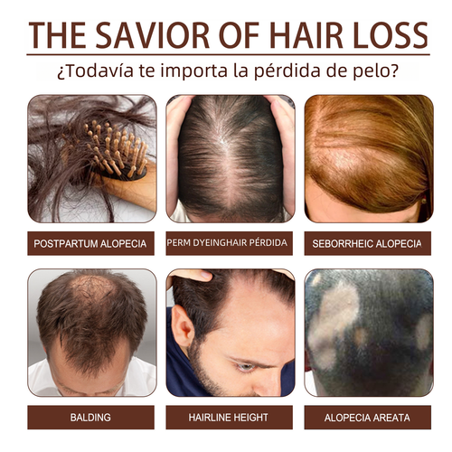 https://static.hzpdex.com/9411eb7e-c588-4f1b-8df9-893f2c717579.png