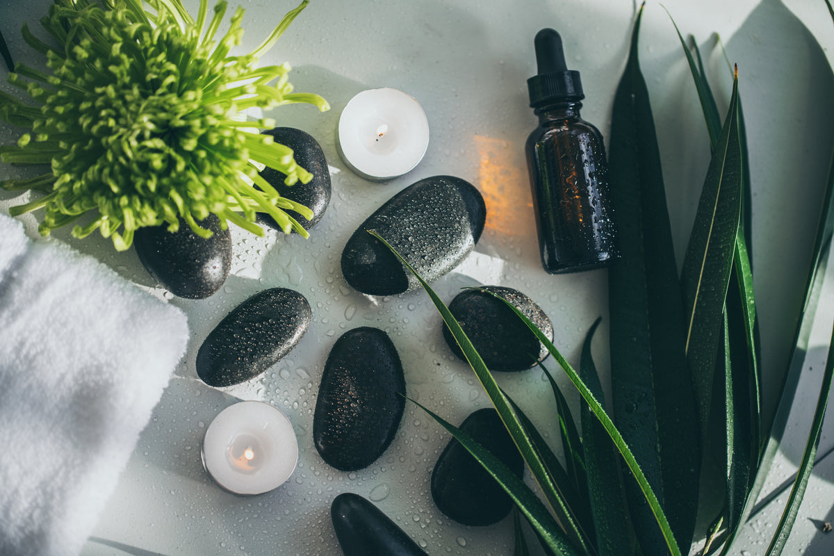 Botanical Care for Healthier-Looking Hair
